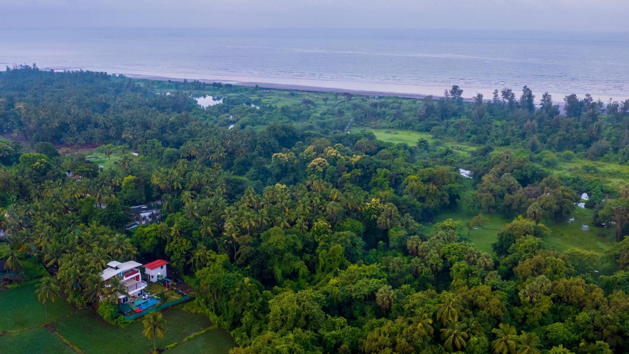 Spicy Mango Villa Elegano - Luxurious Villa Near Nagaon Beach, Alibag Exteriör bild